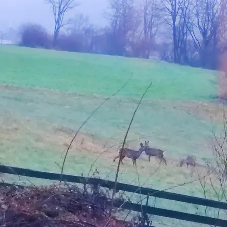 아파트 Wellness- Hottub & Sauna- Pet Friendly- Hiking