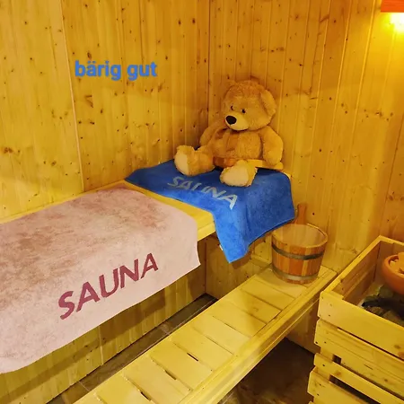 Wellness- Hottub & Sauna- Pet Friendly- Hiking *