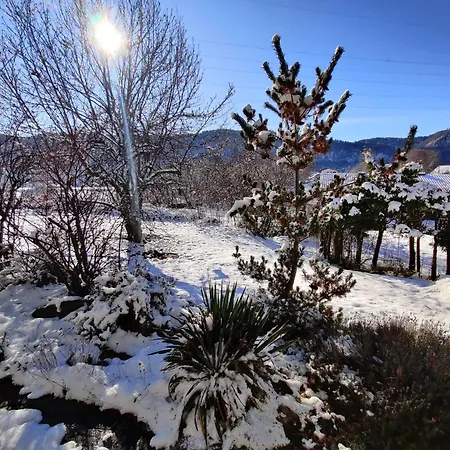 Daire Wellness- Hottub & Sauna- Pet Friendly- Hiking