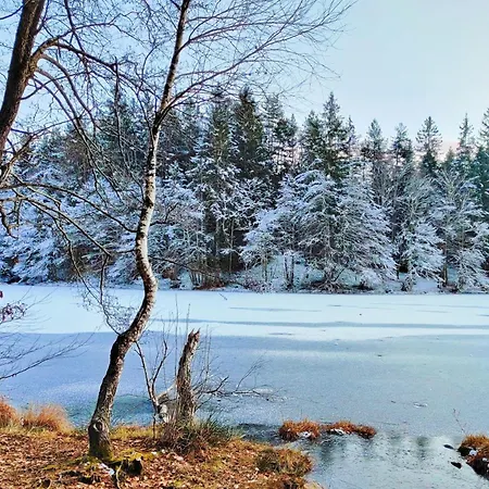 Lejlighed Wellness- Hottub & Sauna- Pet Friendly- Hiking Keutschach am See
