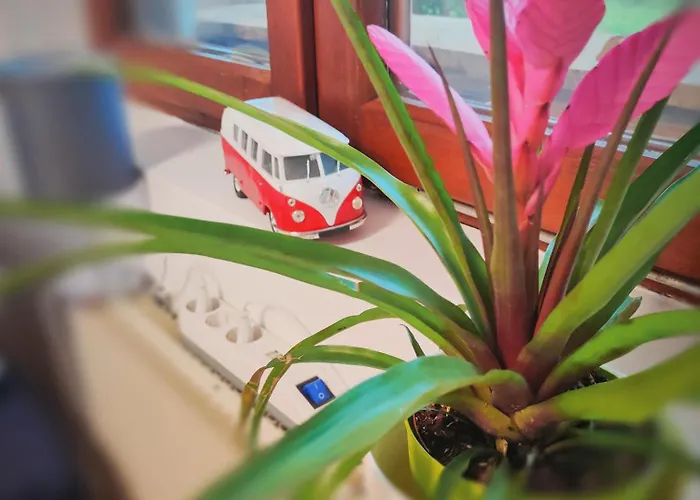 Wellness- Hottub & Sauna- Pet Friendly- Hiking