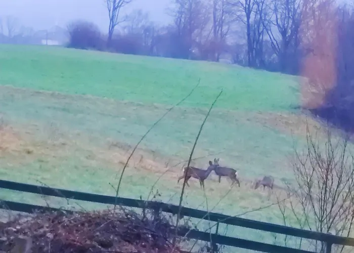 דירה Wellness- Hottub & Sauna- Pet Friendly- Hiking