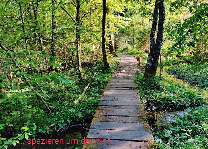 아파트 Wellness- Hottub & Sauna- Pet Friendly- Hiking 코이차흐 암 제