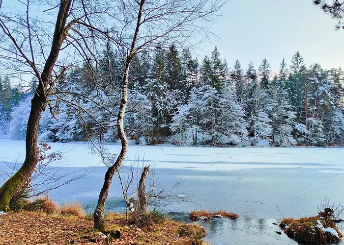 아파트 Wellness- Hottub & Sauna- Pet Friendly- Hiking 코이차흐 암 제